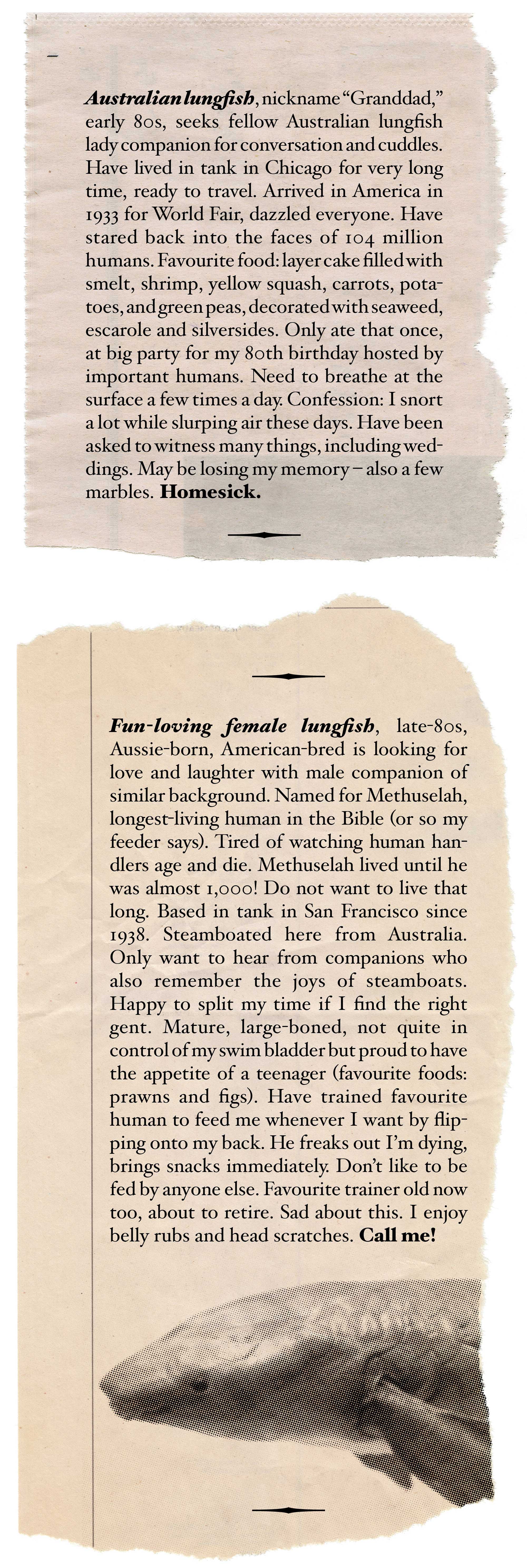 Faux newspaper ads for lungfish looking for love