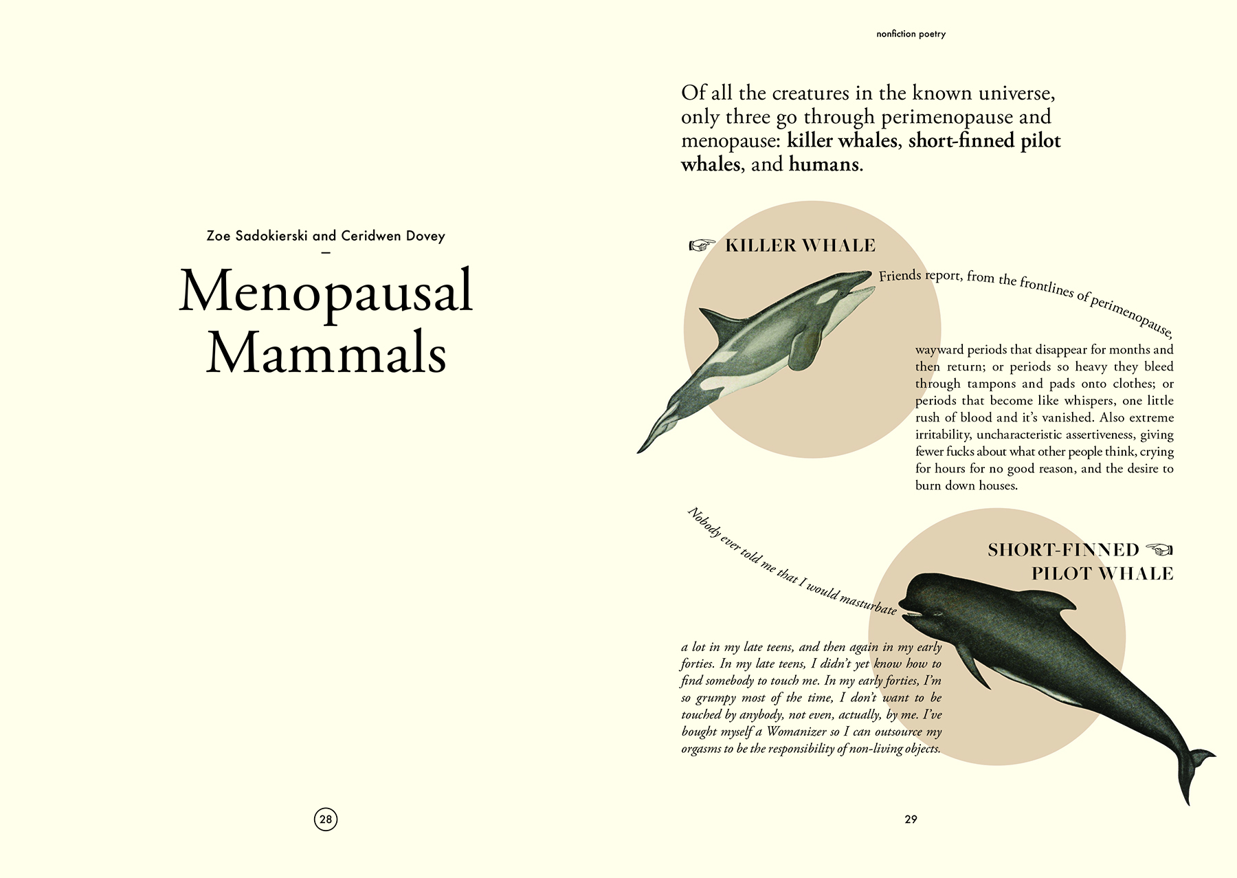 Double page magazine spread, text is a conversation between a killer whale and a short-finned pilot whale about their menopause symptoms. Each whale is represented by an graphic image of the species.