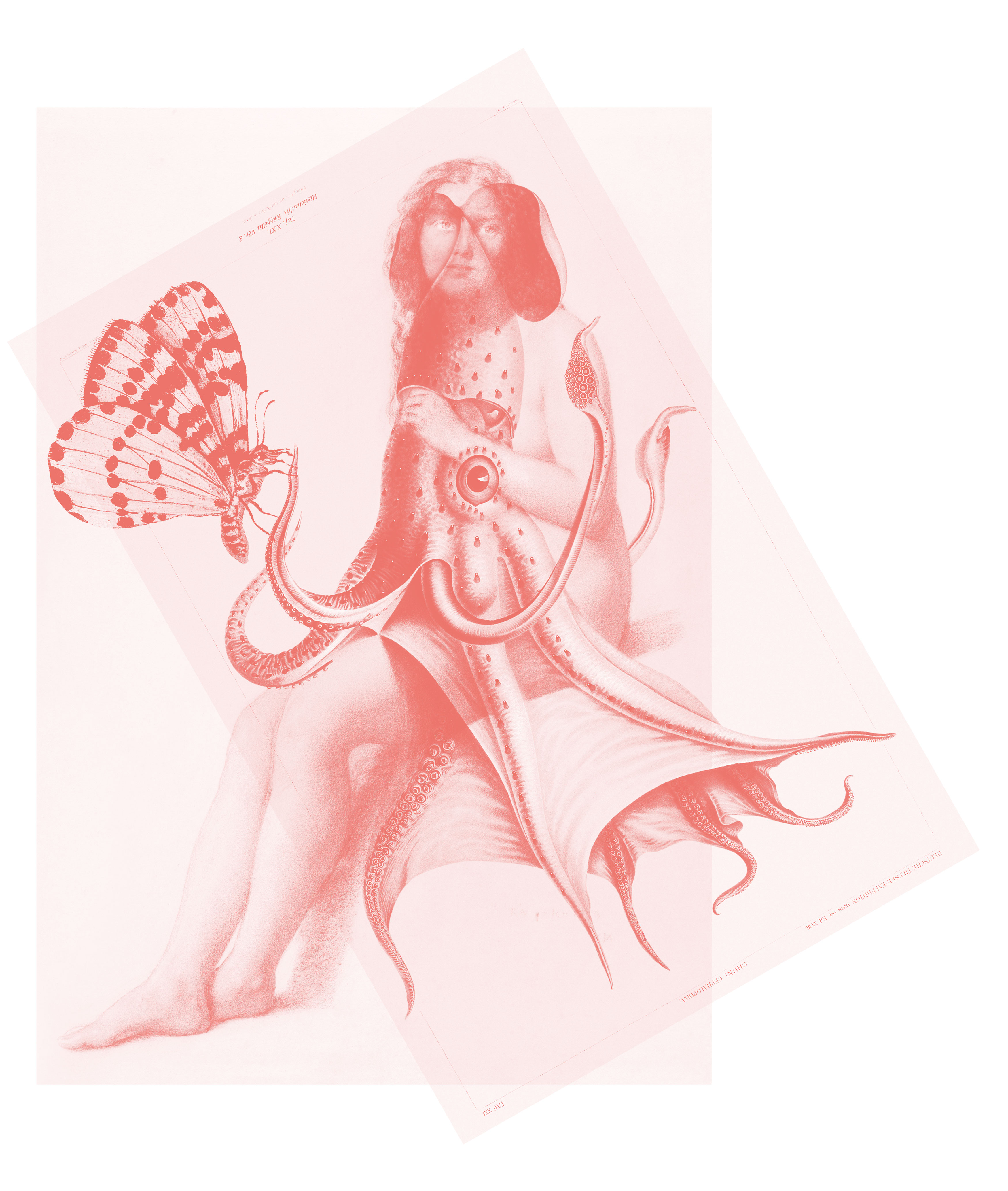 A collage combining images of an octopus and a woman with a butterfly