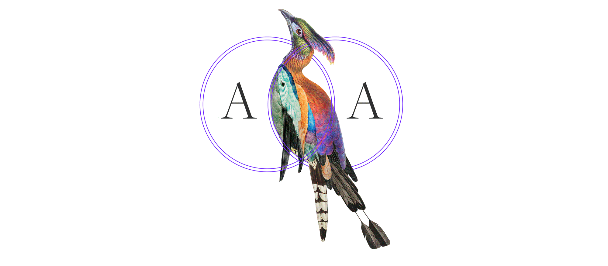 Animal Allegories logo with bird illustration