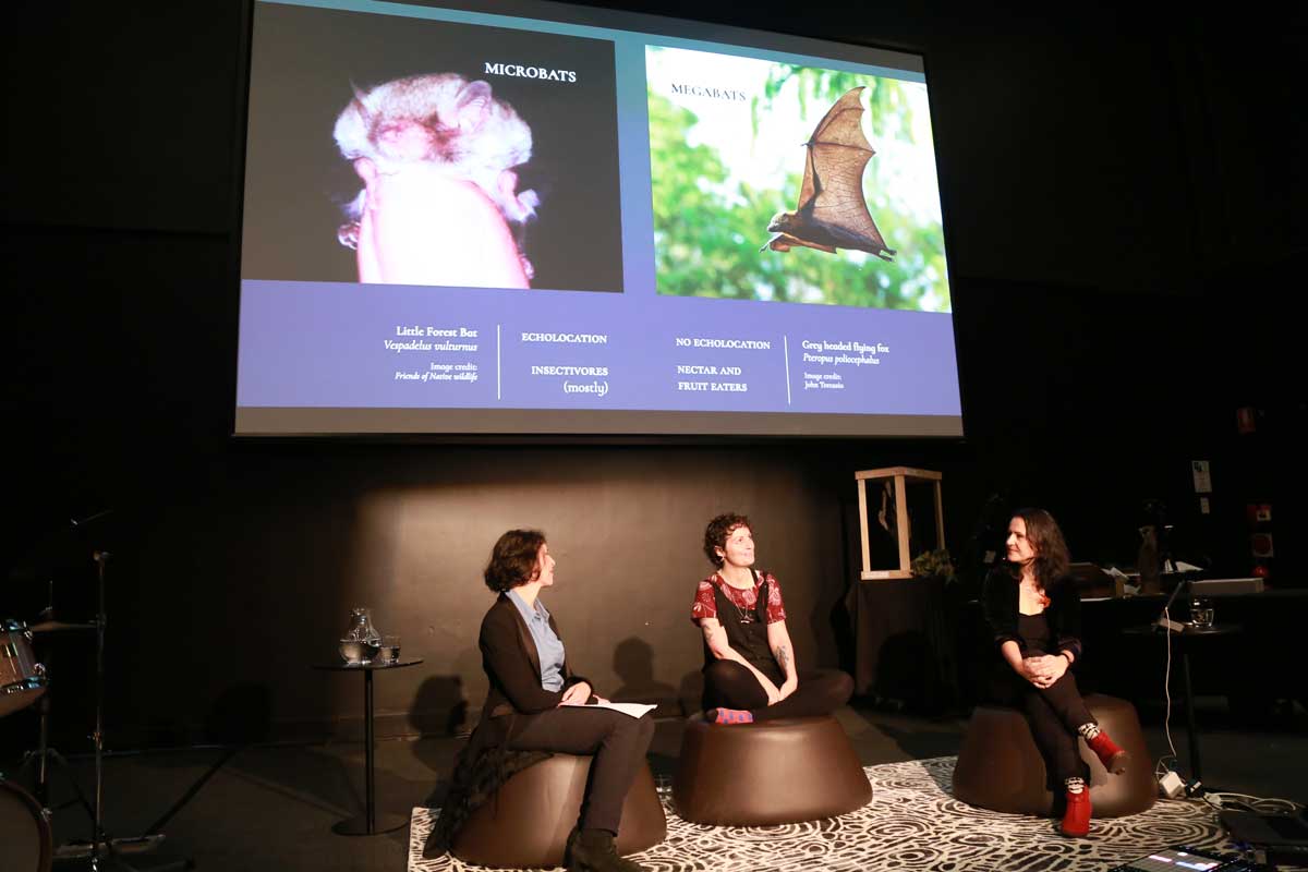 Three woman in conversation, seated on low stools, with a screen projecting images of bats behind them.